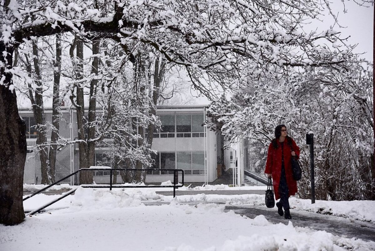 Image of student walking in snow