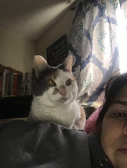 Image of grey and white cat on shoulder
