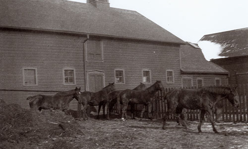 historic barn with horses