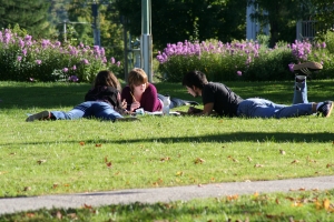 Three students lying down on the green lawn