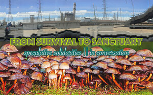 field of mushrooms against an industrial backdrop with blue sky with the title "From Survival to Sanctuary: Speculative Solidarities in Conversation"
