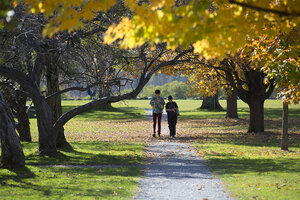 Two people walking on a paved path beneath yellow leaves