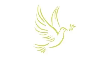 Image of Projects for Peace logo
