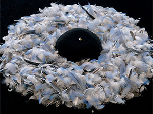 Image of a nest of feathers