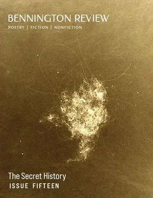 Image of Bennington Review, Issue Fifteen cover