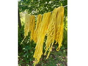 dyed yellow wool drying