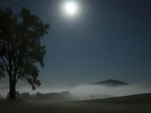 Bennington College's End of the World