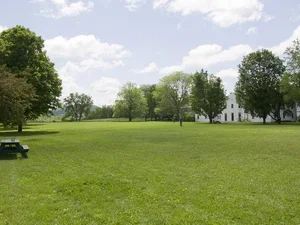 green commons lawn, trees and sky in background