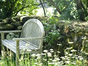 Joy and Rite of Spring Music Performance 