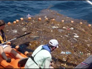 people in a kayak fish garbage out of water