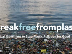 Garbage in water, with the title "#breakfreefromplastic"