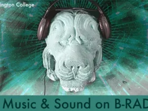 Lion with headphones in green tones