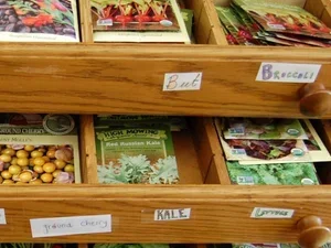 Bennington Seed Weekend