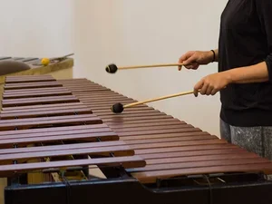 Mallet Percussion instrument 