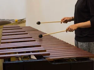 Mallet Percussion