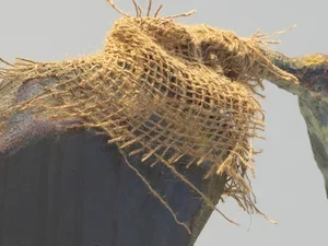 Piece of artwork with netting and grey background