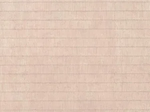 Senior Concert Series: some sounds