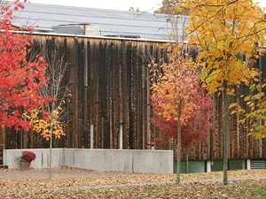 usdan gallery in the fall 