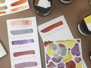 Making Ink From Plants