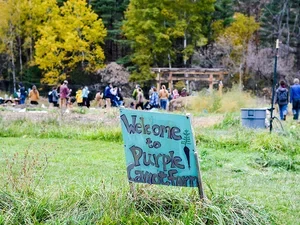 a blue wooden sign saying "Welcome to Purple Carrot Farm" in a green field with a group of people gathered in the background in front of the woods