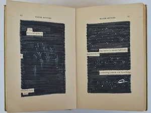 Image of Master Reynard erasure