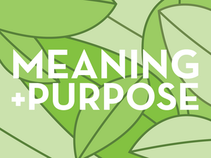 Meaning and Purpose image