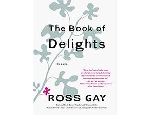 The Book of Delights cover