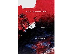 The Carrying cover