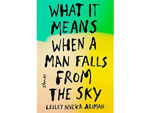 What It Means When a Man Falls from the Sky 