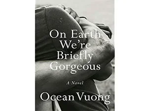 On Earth We're Briefly Gorgeous cover