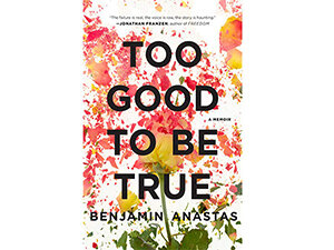 Too Good to be True Cover