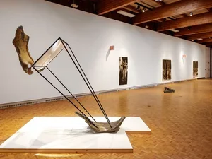 Installation view: Overbody