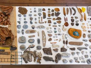 Display of Walking Project with found items
