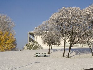 winter view of snow and trees and crossett library