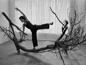 Image of Maren Hassinger's Tree Duet