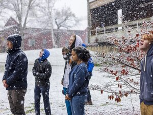 Image of people watching snowfall