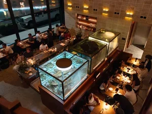 Image of Zoli fishtanks and seating