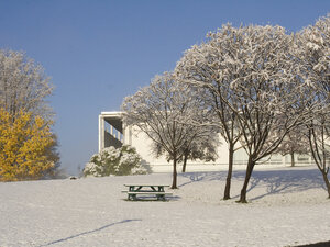 a snowy scene with a few trees and the library in the distance