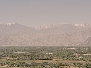 Art in the Public Realm