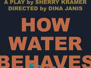 Poster for How Water Behaves
