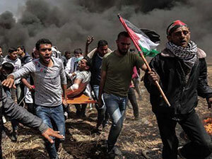 Gaza Protests