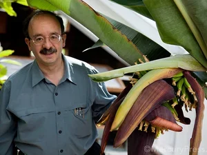 Image of Amory Lovins