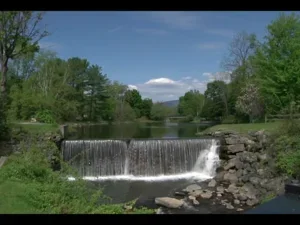 Environment and Public Action