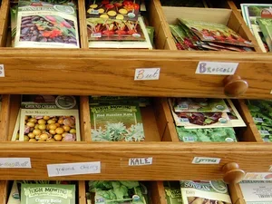 Bennington College Seed library