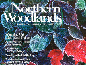 Northern Woodlands magazine cover