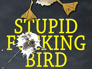 Image of stupid bird text