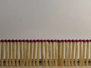 Image by Ethan Knechel Us/Them, 2016 Matches and cyanoacrylate 33’ x 2.5” x .1”