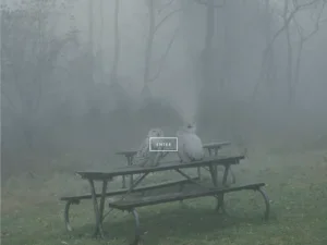 Relaunching a Literary Legacy img