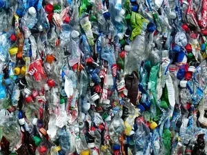 Wasted plastic bottles