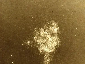 Image of Bennington Review, Issue Fifteen cover